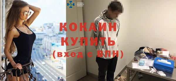 твердый Алексин
