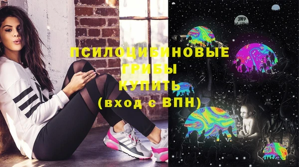 ГАЛЛЮЦИНОГЕННЫЕ ГРИБЫ Алзамай