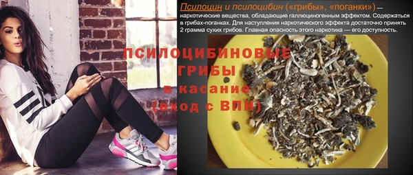 твердый Алексин
