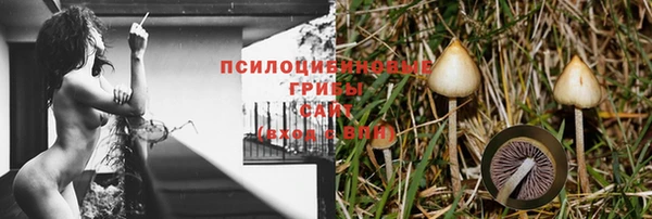 твердый Алексин