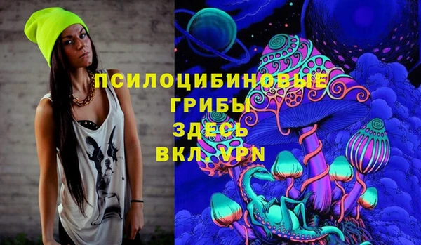 твердый Алексин