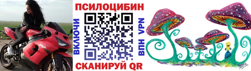 Галлюциногенные грибы прущие грибы  Порхов 